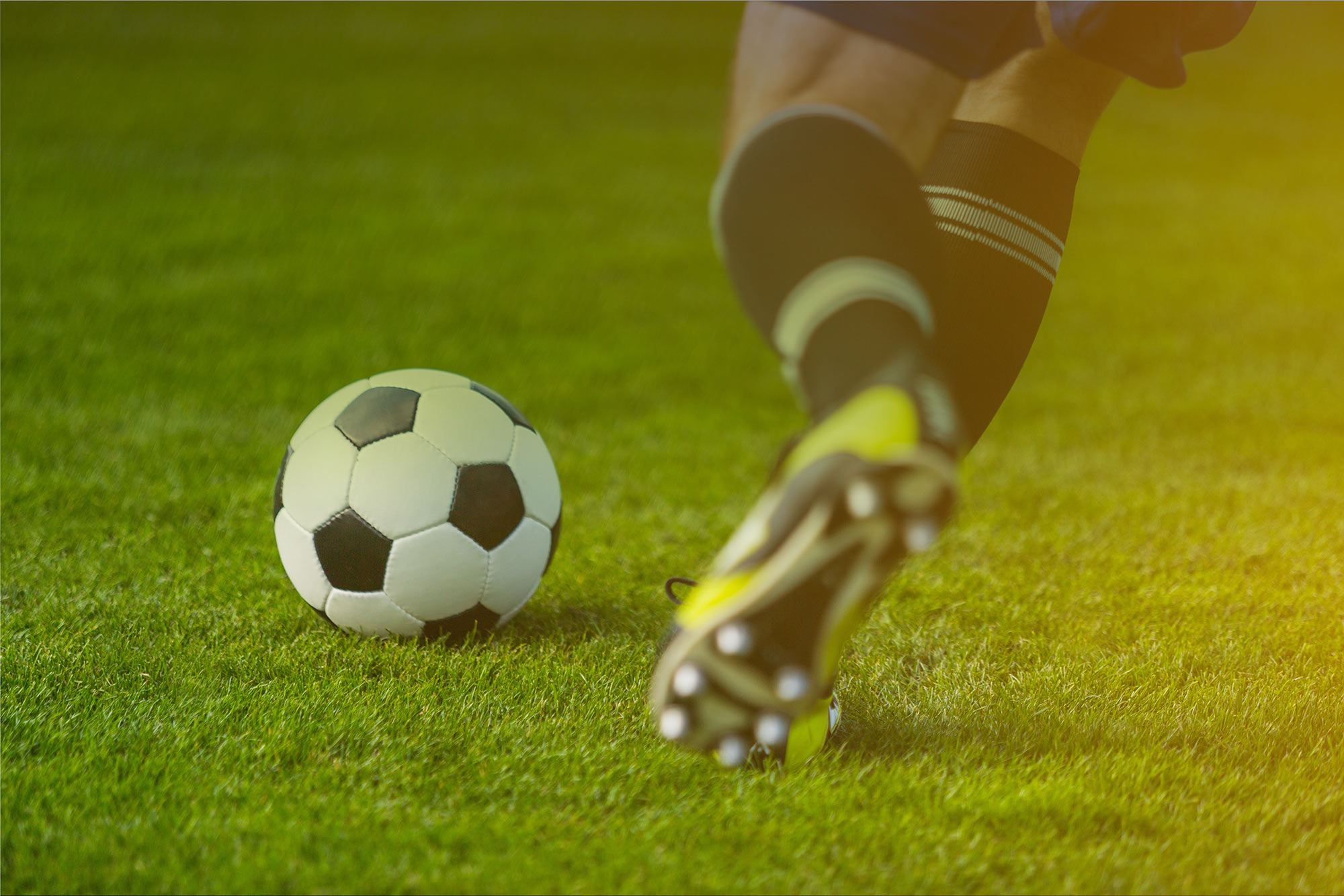 We provide quality, natural sports fields for future generations.